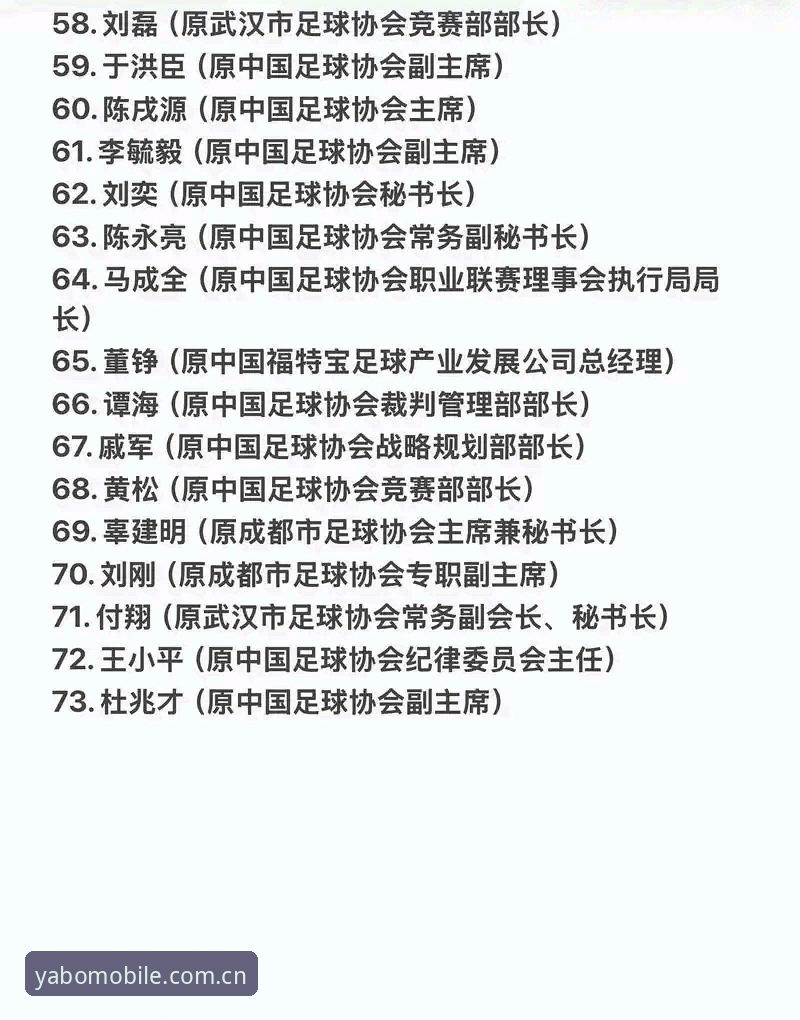 中国足协第三批禁足名单全面解析：17人终身禁赛背后的行业生态与数据观察